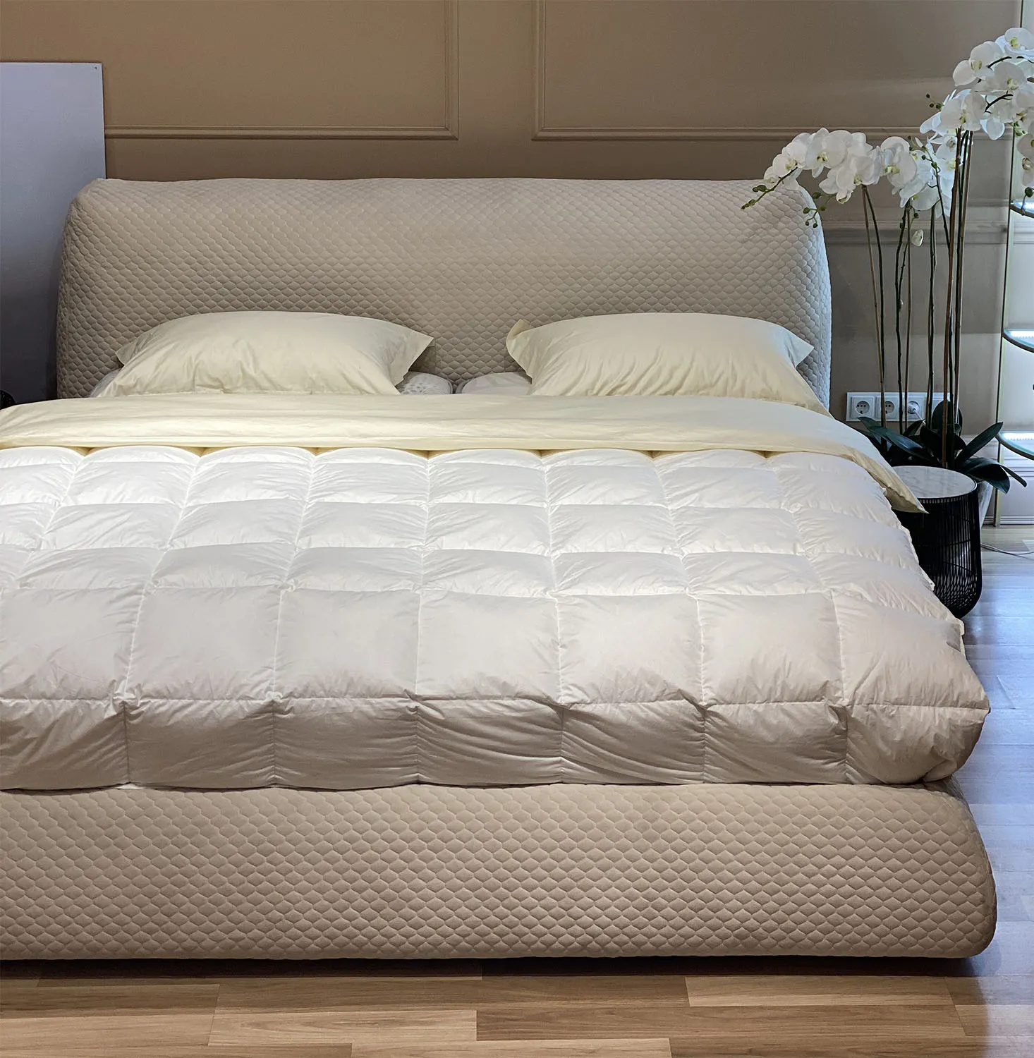 ALFABED HUSKY Pat Cu Mecanism De Ridicare Quilted5