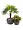 Кашпо TREEZ Effectory Stone большая полусфера Тёмно-серый камень д-40 см, в-32 см 2878835