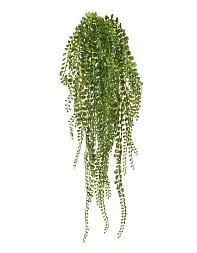 Пилея Глаукофилла зелёная ампельная (пластик) в-70 см12/48