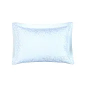 Товар Pillow Case Lux Double Face Jacquard Modal Miracle Mint 5/3 добавлен в корзину
