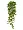 Филодендрон Сканденс ампельный малый (Sensitive Botanic) в-45 см 2882139