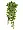 Филодендрон Сканденс ампельный малый (Sensitive Botanic) в-45 см 2882140