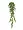Английский плющ Олд Тэмпл зелёный в-90 см (191 лист) (Sensitive Botanic) 6/36 2882025