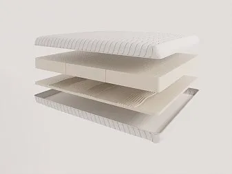 Evita Life Contour