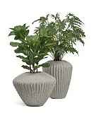 Товар Кашпо-ваза TREEZ Effectory Cactus Дизайн-ваза Белый песок добавлен в корзину