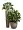 Кашпо TREEZ Effectory Wow Конус-Чаша Капучино в-28 см, д-30 см 2880250