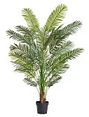 Товар Пальма Арека Хризалидокарпус New в-180 см (Sensitive Botanic) 2/2 добавлен в корзину