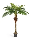 Товар Финиковая пальма Новая в-160 см 14 веток (Sensitive Botanic) 2/2 добавлен в корзину
