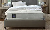 Товар Saltea reflex osmii добавлен в корзину