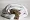 Plapuma trois couronnes royal wild duck down 3777470