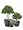 Кашпо TREEZ Effectory Wow Конус-Чаша Стальное серебро с рельефом в-28 см, д-30 см 2945759
