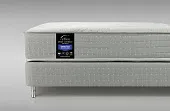 Товар Reflex Spine Correct H4 добавлен в корзину