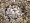 Подушка Trois Couronnes Saint Eider down 3812467