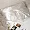Pillow Case 100% Silk Ivory White 3804109