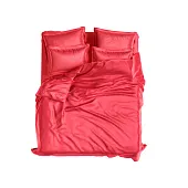 Товар Set Exclusive Modal Lingonberry добавлен в корзину 