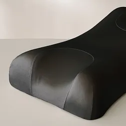 Pillow Case Exclusive Modal Black Beauty