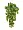 Сингониум ампельный куст в-50 см (Sensitive Botanic) (79 листов, 8 веток) 12/72 2882191