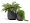 Кашпо TREEZ Effectory Beton Design-Чаша Тёмно-серый бетон в-35 см, д-32 см 2944874