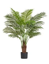 Пальма Арека Хризалидокарпус Нью в-120 см (Sensitive Botanic) 4/4