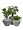 Кашпо-ваза TREEZ Effectory Cactus Дизайн-ваза Дымчато-серый песок 2946205