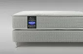 Товар Reflex Spine Professor H3 добавлен в корзину