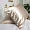 Pillow Case 100% Silk Classic Pearl 3803994