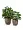 Кашпо TREEZ Effectory Wow Конус-Чаша Капучино в-28 см, д-30 см 2880247