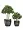 Кашпо TREEZ Effectory Wow Конус-Чаша Стальное серебро с рельефом в-28 см, д-30 см 2880285