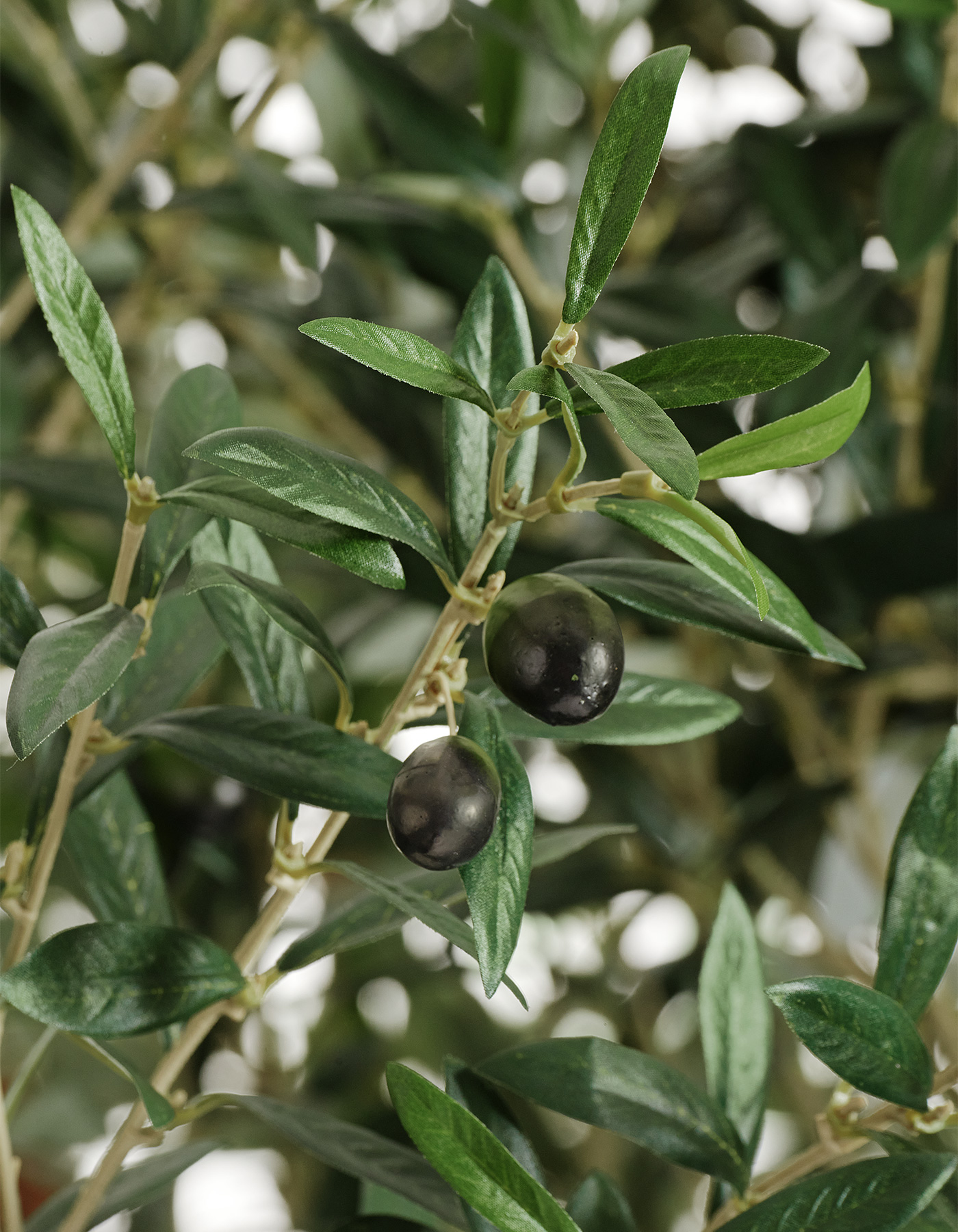 Дополнительные фото 1