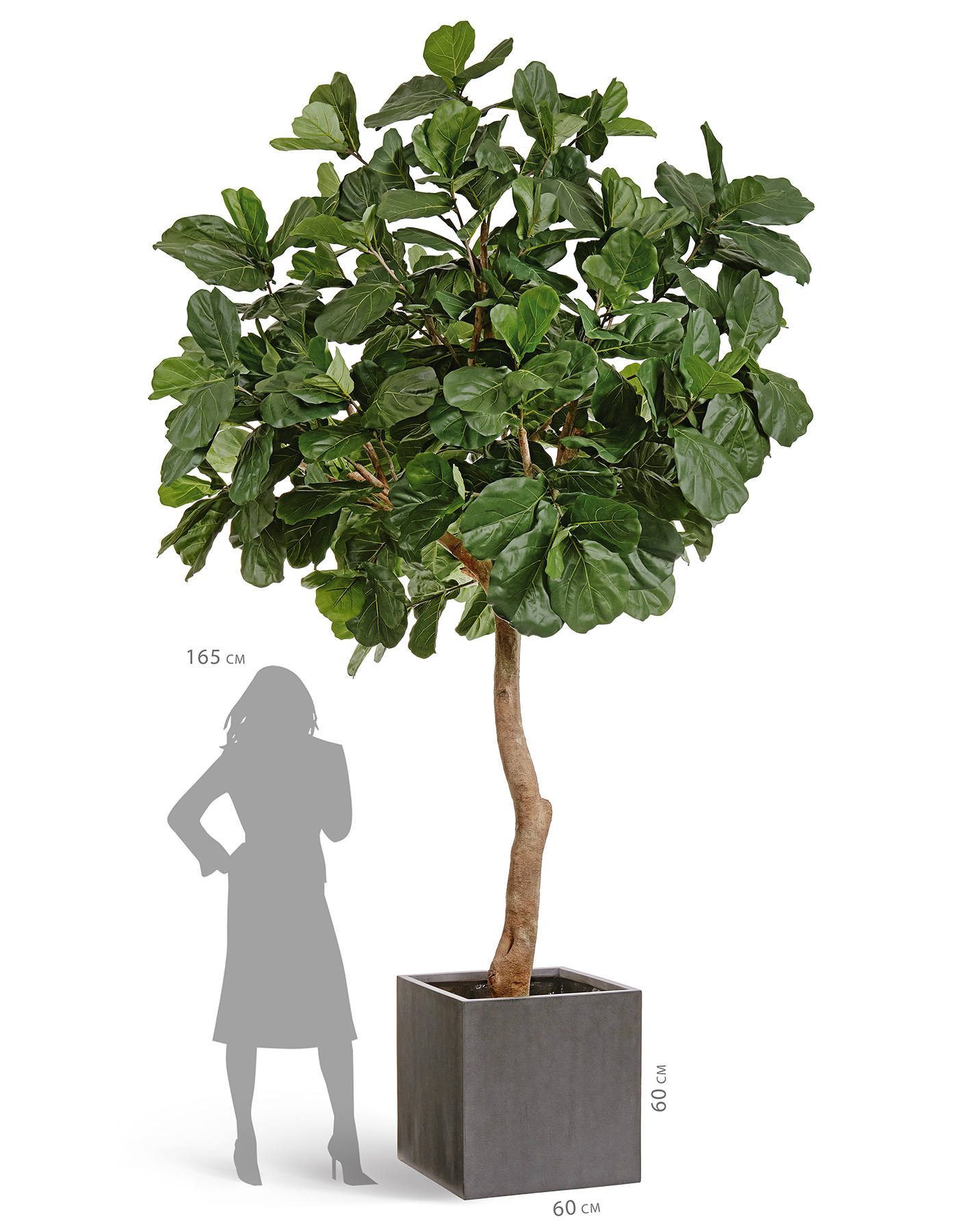 Дополнительные фото 2