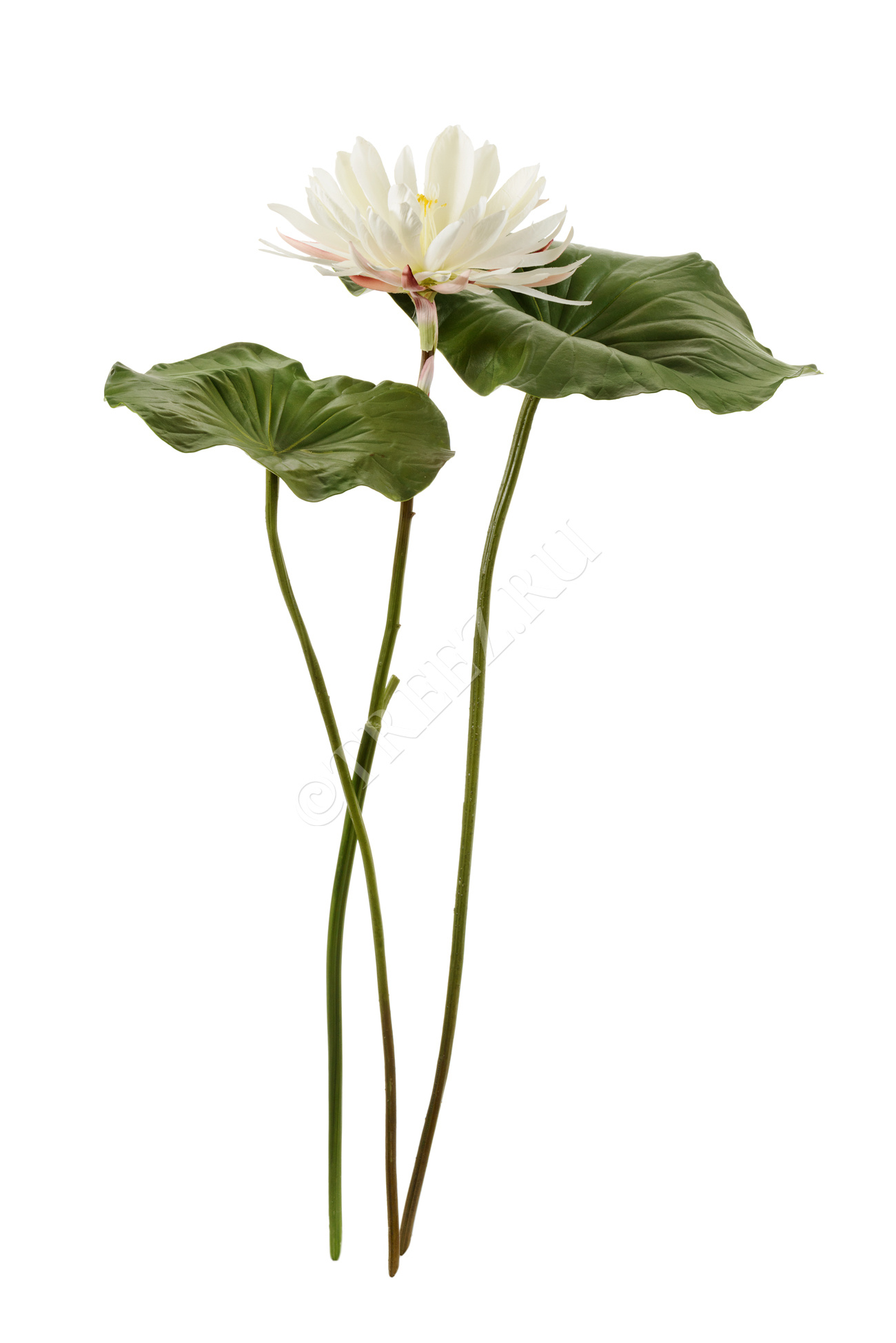 Дополнительные фото 3