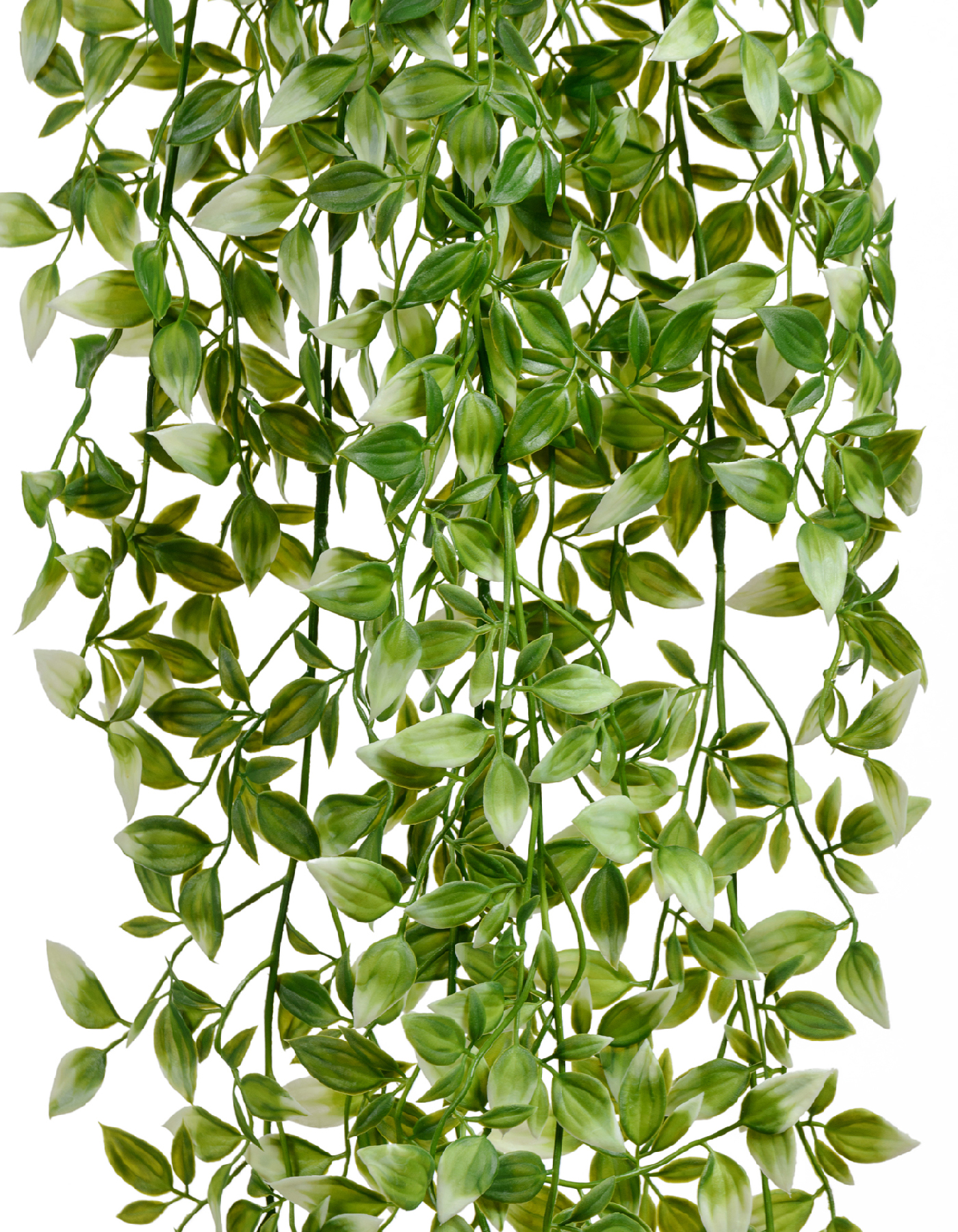 Дополнительные фото 2