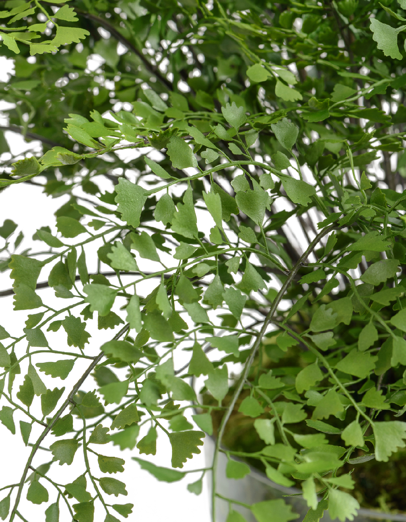 Дополнительные фото 1