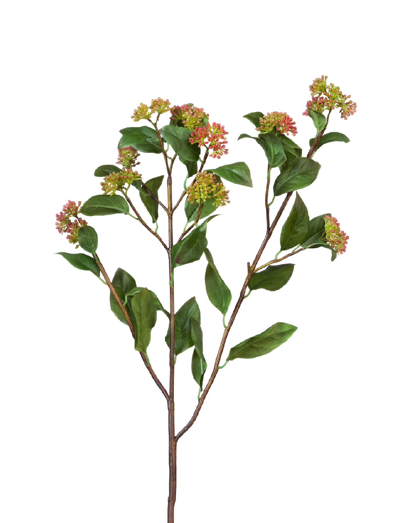 Дополнительные фото 1