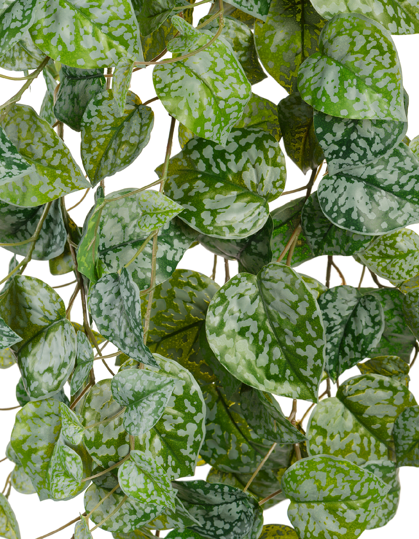 Дополнительные фото 1