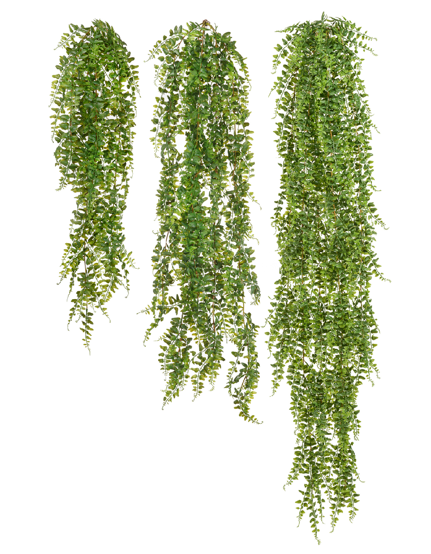 Дополнительные фото 2