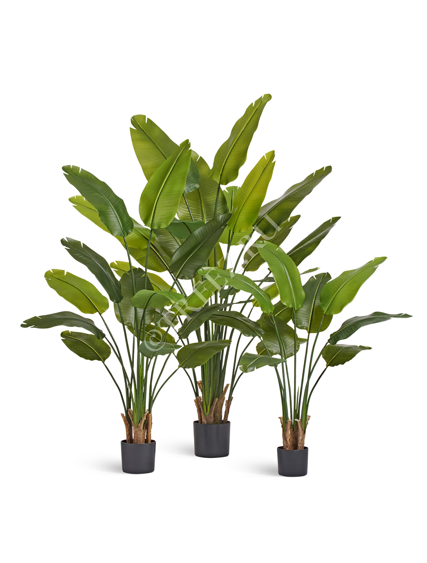 Дополнительные фото 4