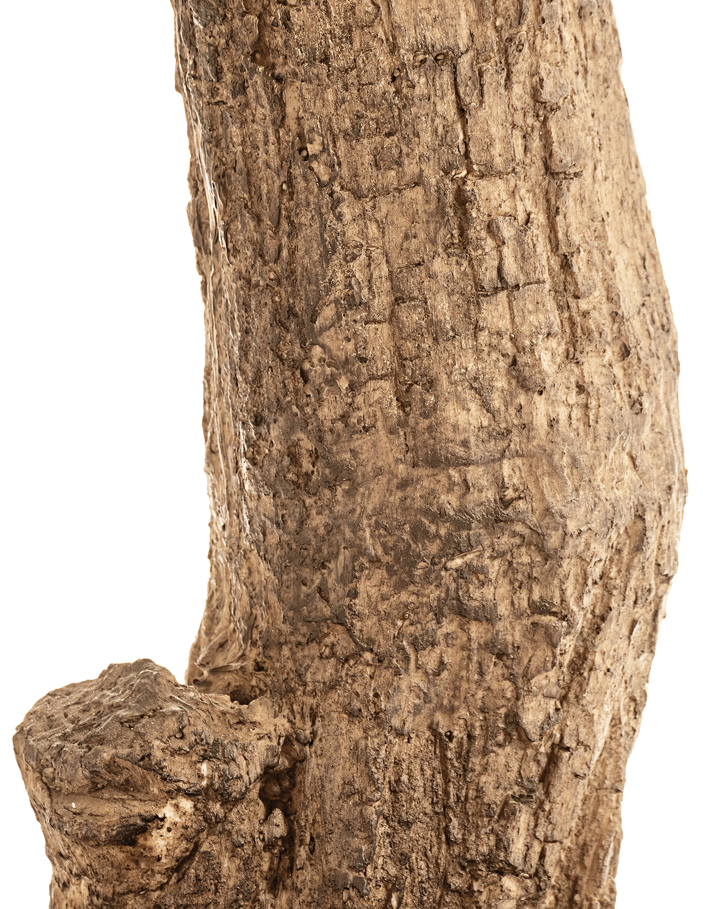 Дополнительные фото 2