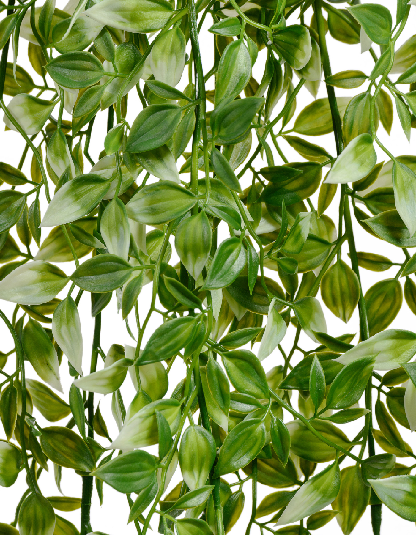 Дополнительные фото 1