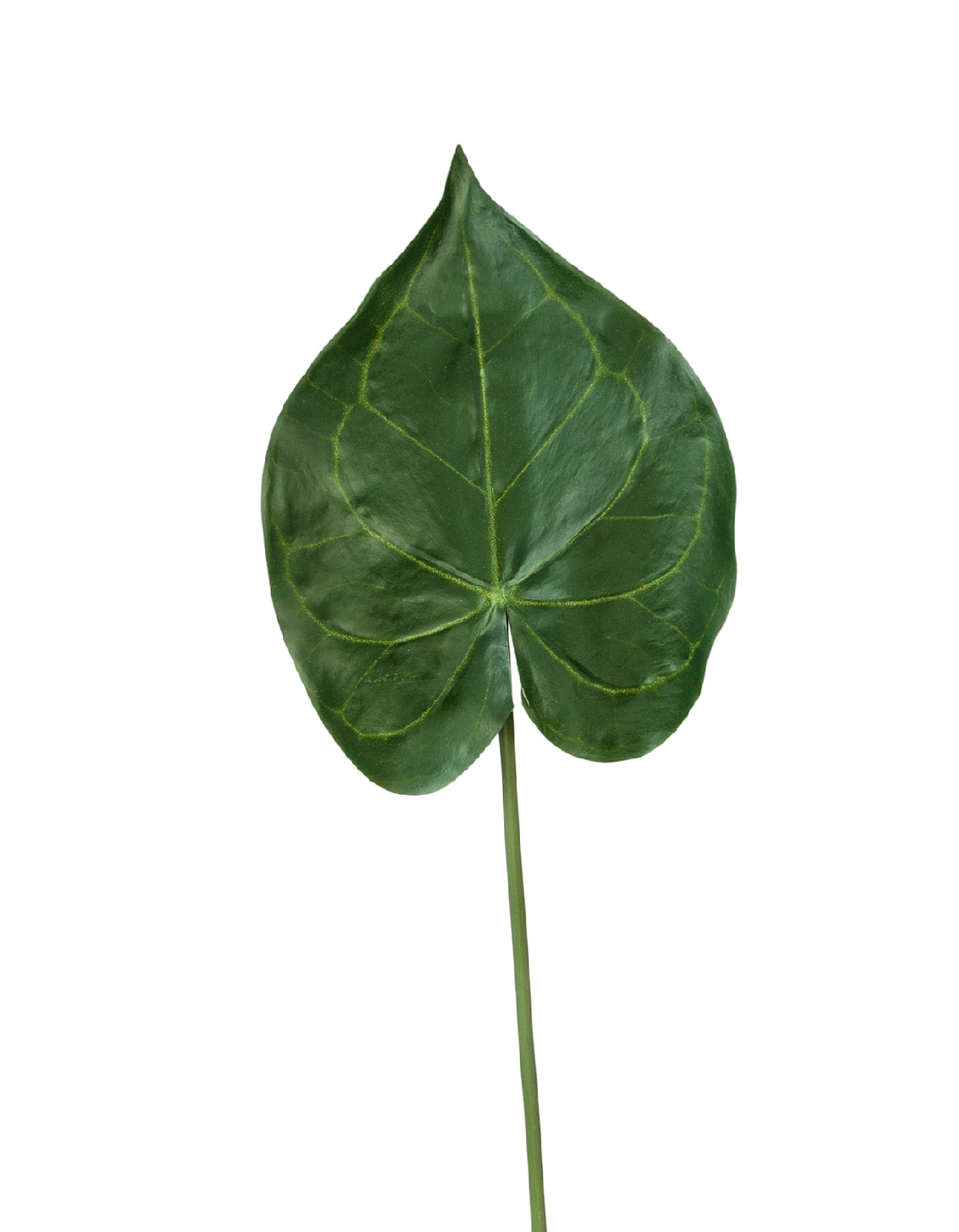 Лист Кристалины в-60 см (лист 20х16 см) 24/192