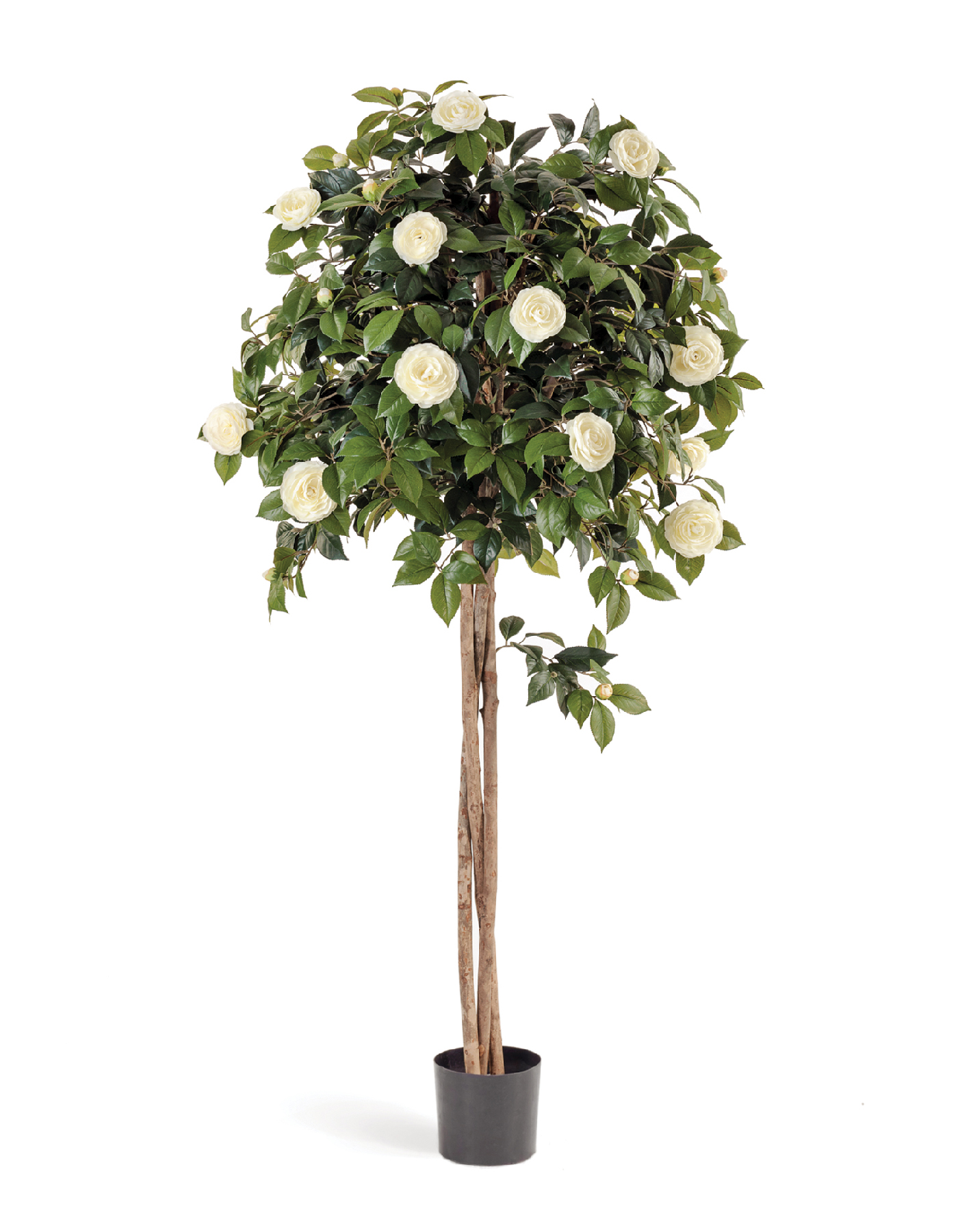 Дополнительные фото 2