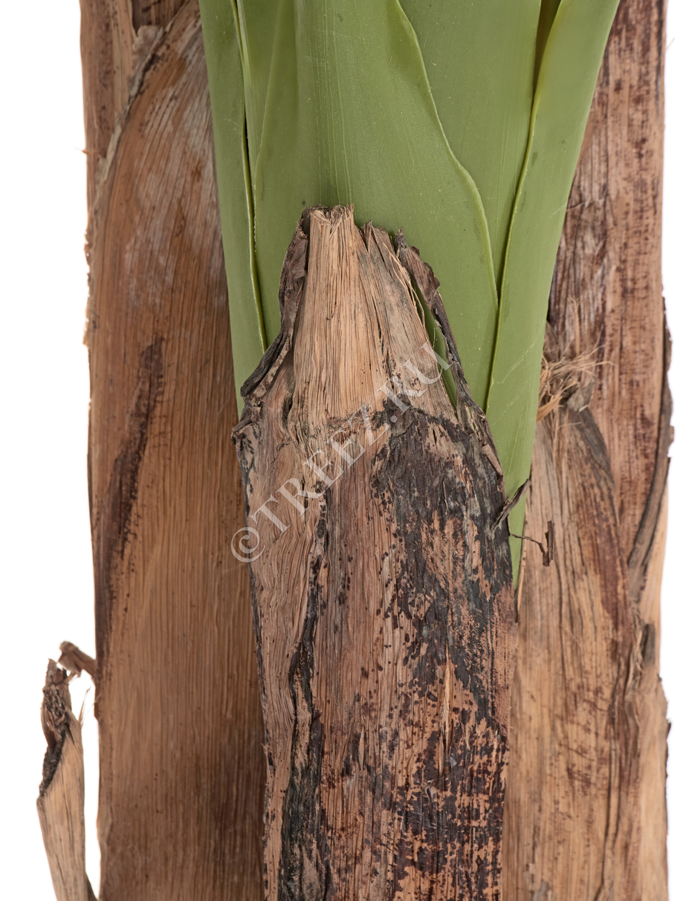 Дополнительные фото 4