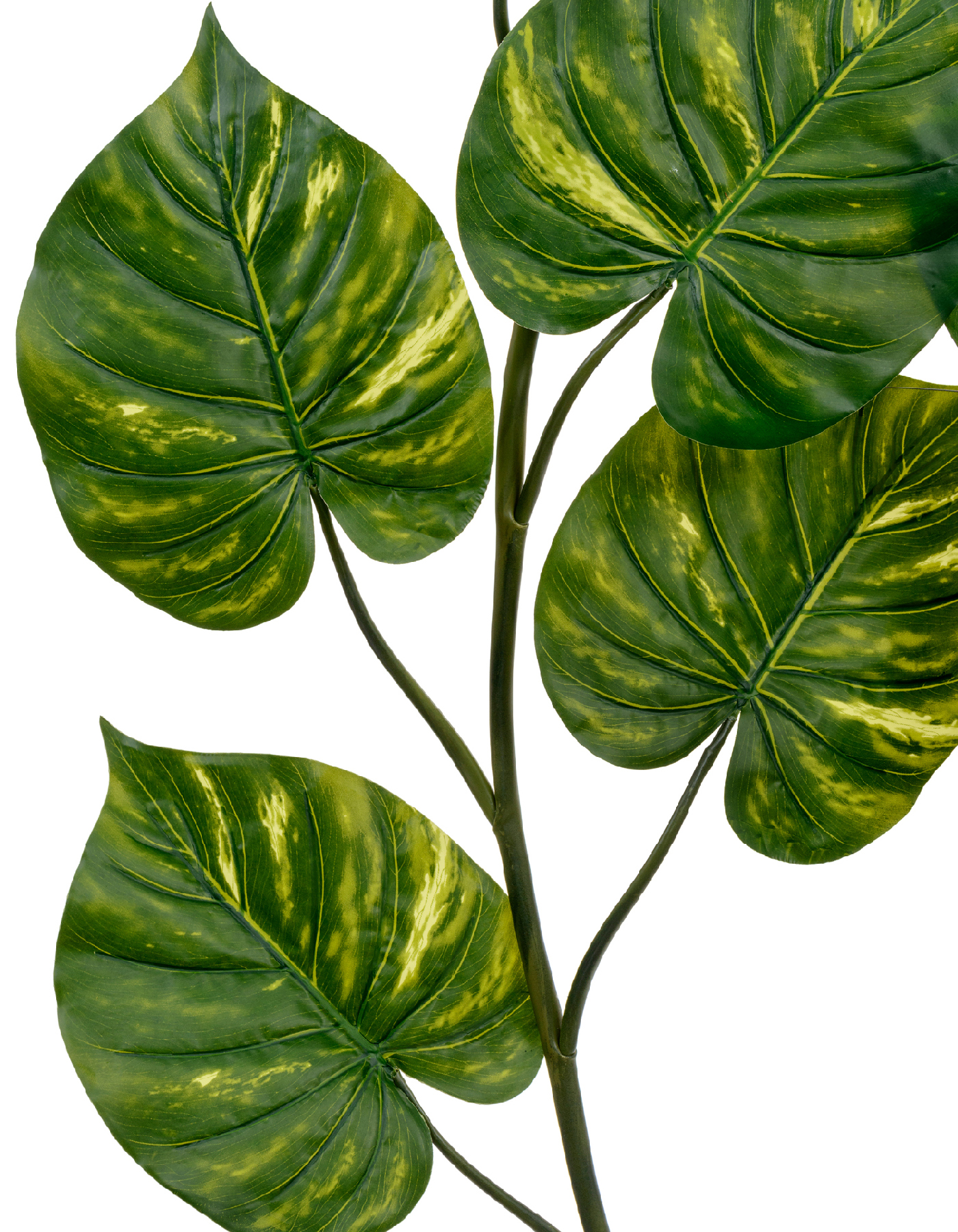 Дополнительные фото 4