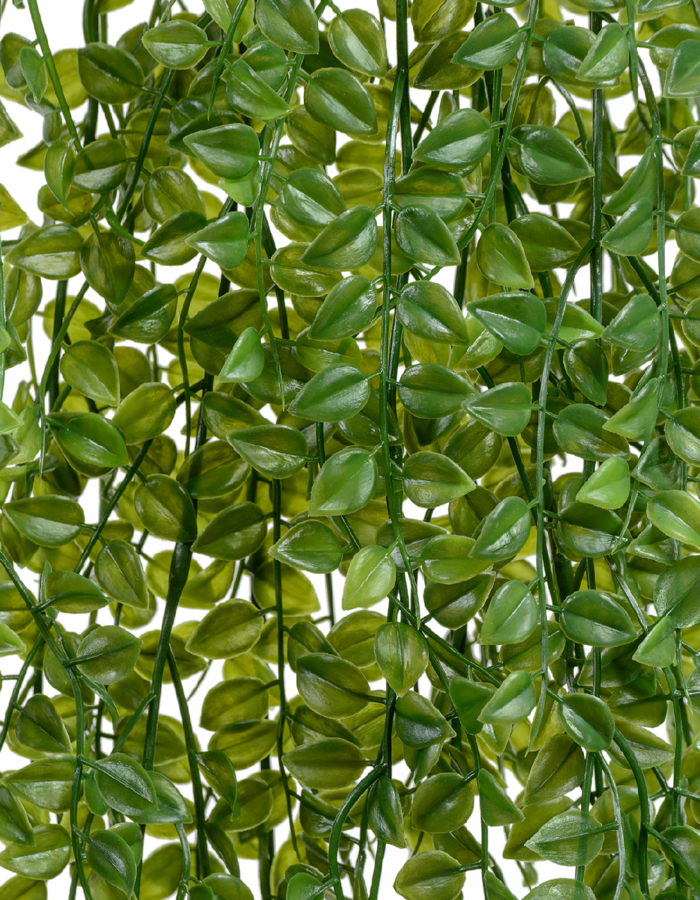 Дополнительные фото 1