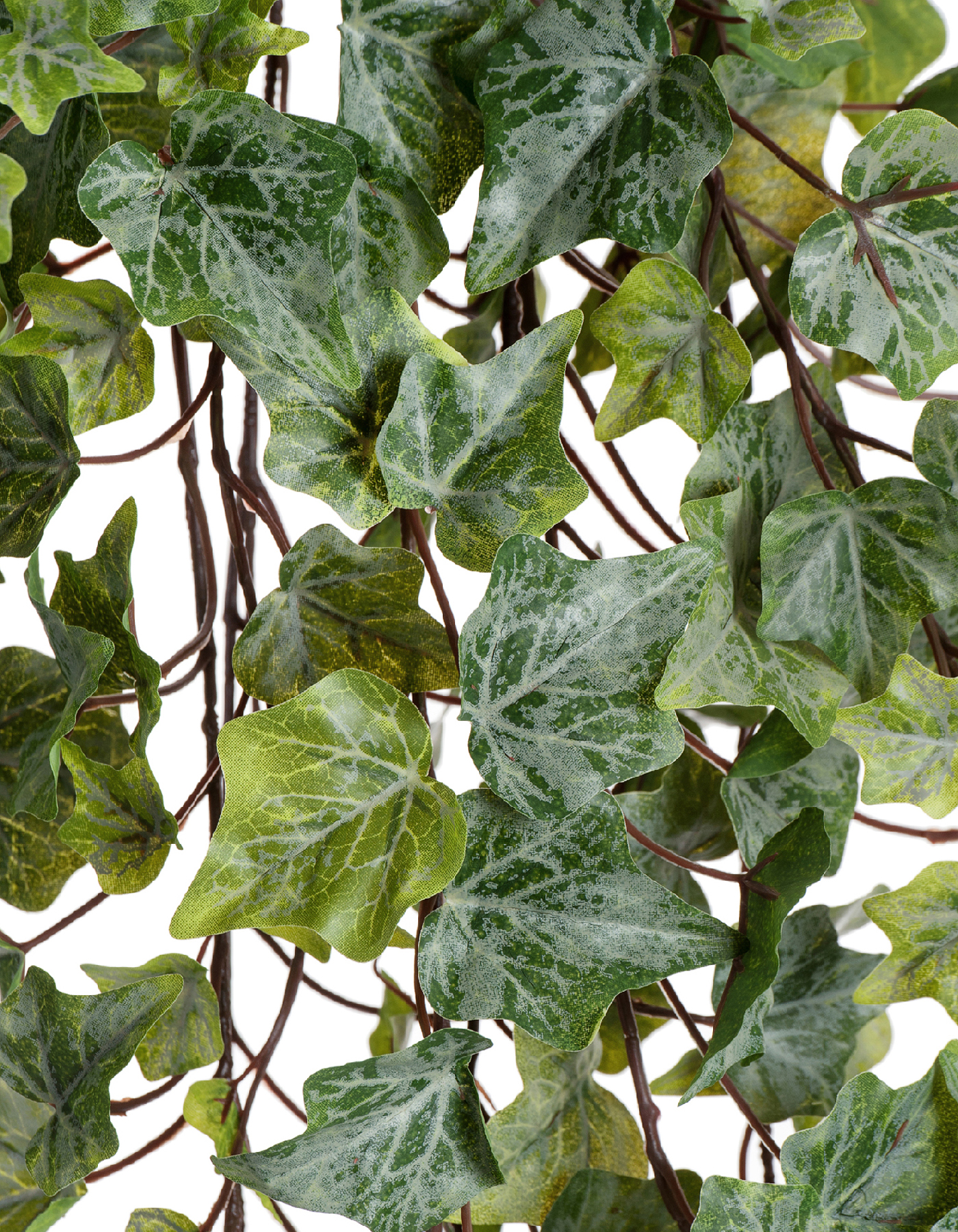 Дополнительные фото 1