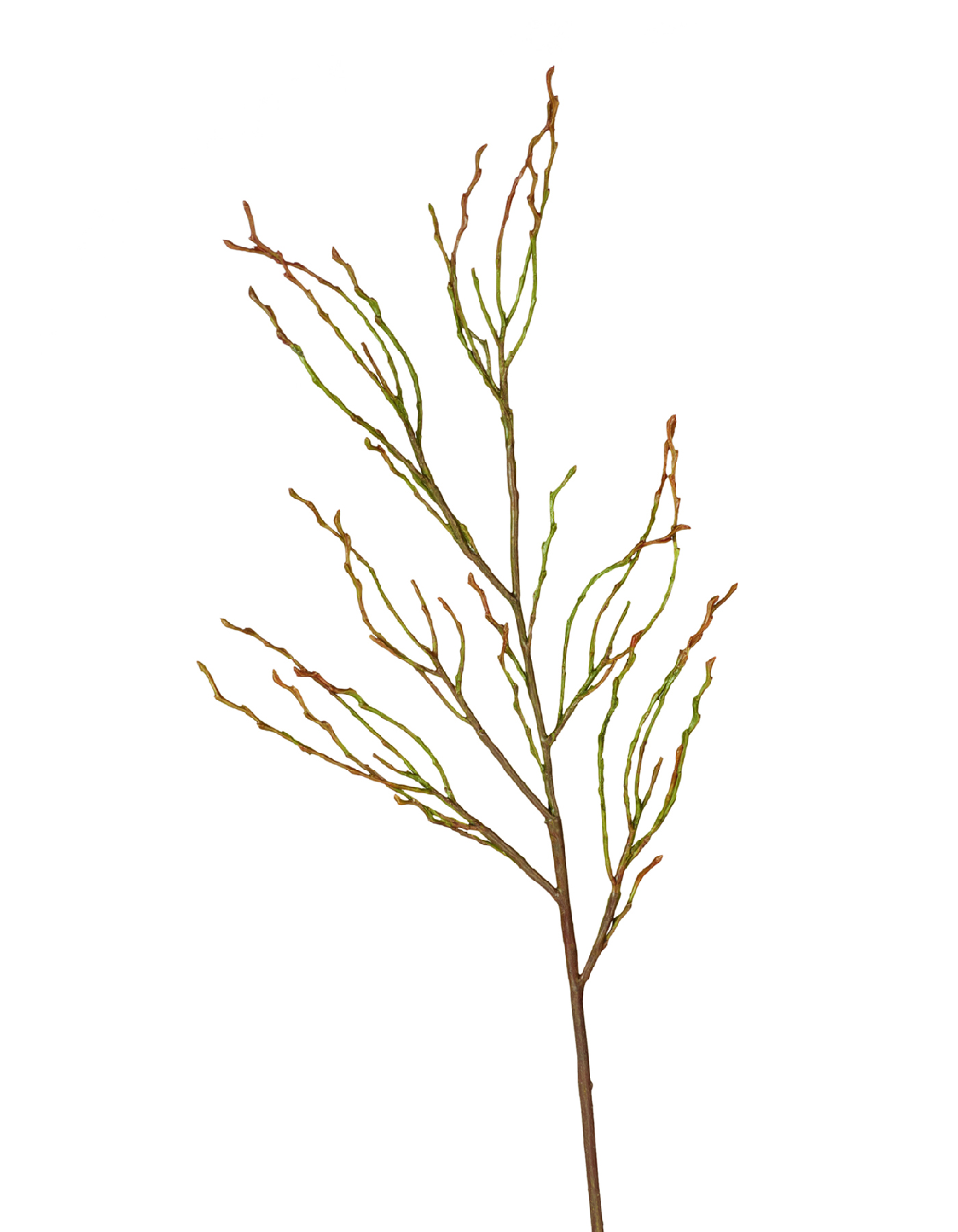 Дополнительные фото 1