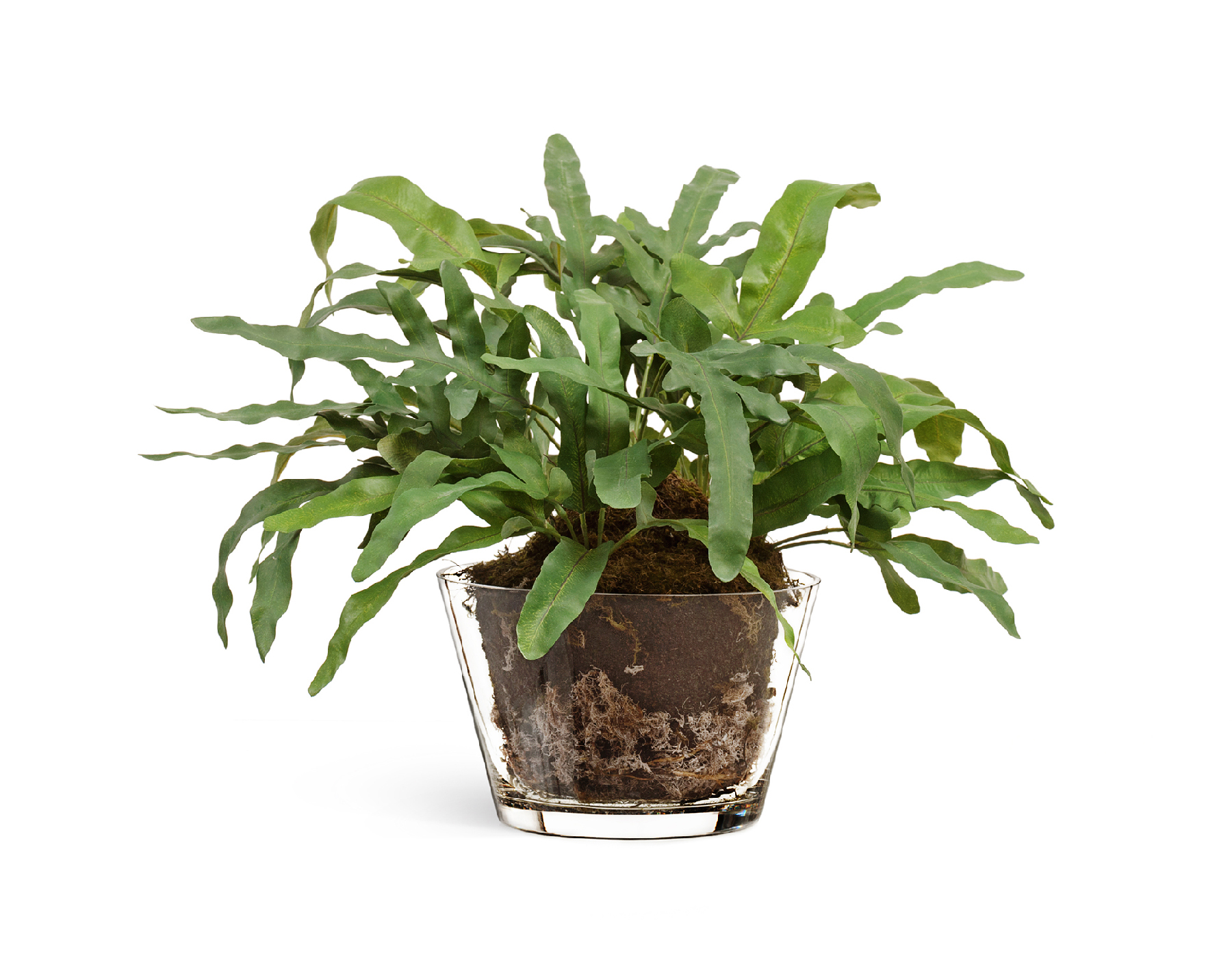 Дополнительные фото 1