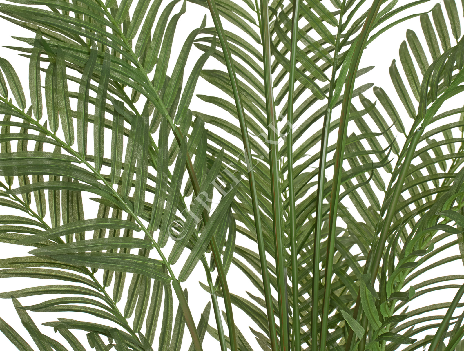 Дополнительные фото 3