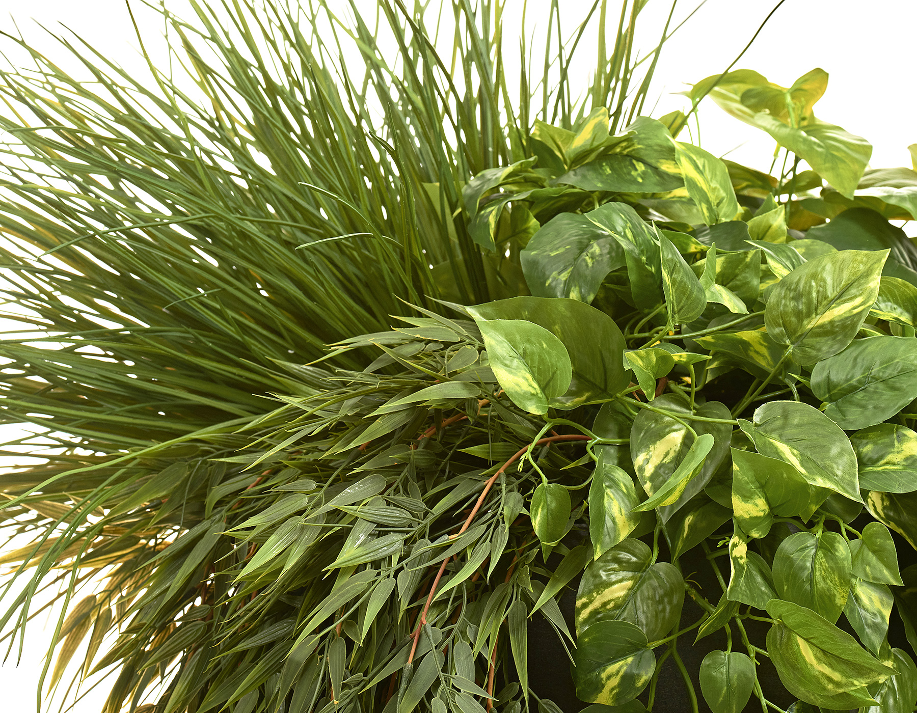 Дополнительные фото 1