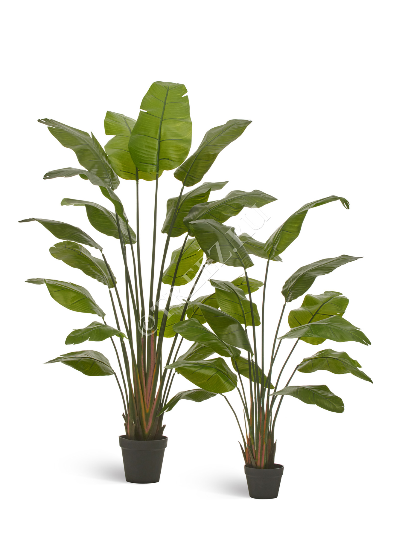 Дополнительные фото 4